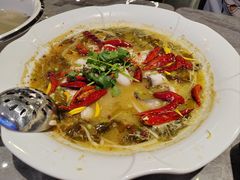 -九龙茶记·粤式餐厅融合菜(鹭江店)