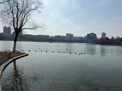 -天鹅湖体育公园