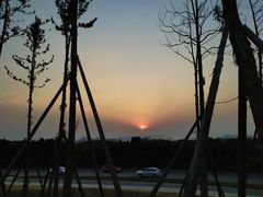 -白鹭湾湿地公园