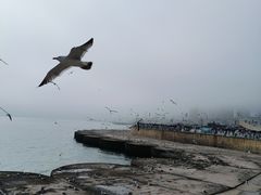 -星海广场