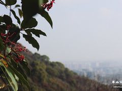 -杭州半山国家森林公园