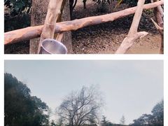 -杭州野生动物世界