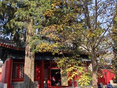 -北京艺术博物馆(万寿寺)