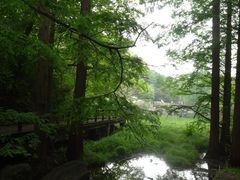 -国家植物园南园