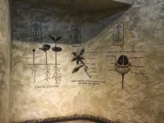 -星巴克臻选(湖滨道店)