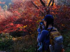 -杭州半山国家森林公园