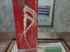 -广东中医药博物馆