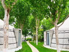 -九十九顶毡房(阜石路店)