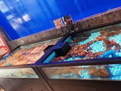 -忆江南·临江鱼馆