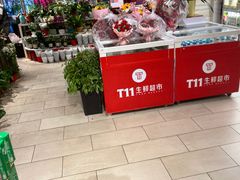 -T11生鲜超市(朝阳公园店)