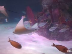 -沈阳海洋探索中心