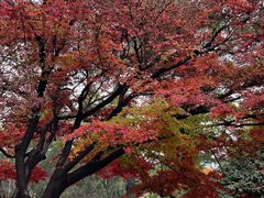-西安市纺织公园