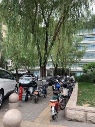 -北京新世纪儿童医院