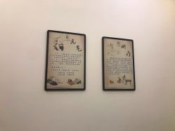 -DEM缔怡美科技美容