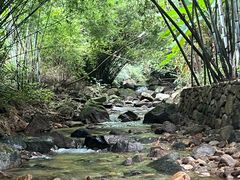 -竹庄餐馆·26年店(南昆山景区店)