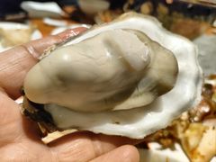 -松咖啡自助餐厅·松北香格里拉