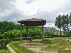 -哈尔滨北方森林动物园