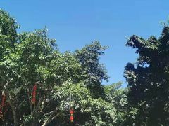 -巴山一绝烤全羊(三圣乡刘家花园店)