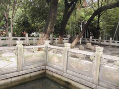 -绳金塔