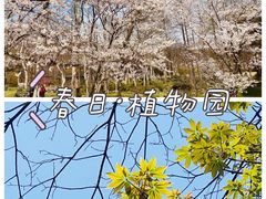 -杭州植物园