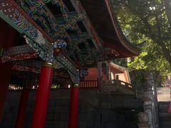 -盘龙寺