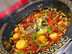 -一只烧鸡公(解放碑店)