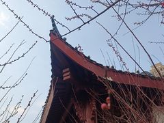-堤角公园
