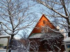 -滴血救世主教堂