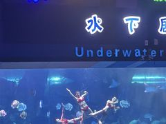 -泉城欧乐堡海洋极地世界