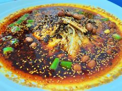 -老字号怡玺·藿香雅鱼(20年雅安店)