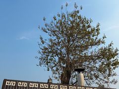 -迎春桥老炉烧饼(碧霞路店)