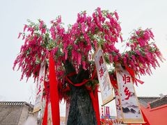 -大槐树寻根祭祖园