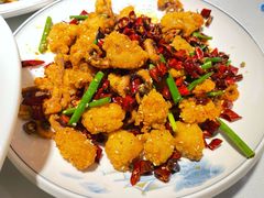 香辣鱿鱼鸡-凤霞海鲜大排档·天津菜(抗震路店)