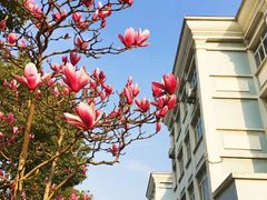 -浙江越秀外国语学院