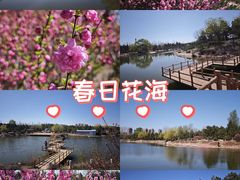 -通辽森林公园