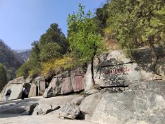 -泰山风景名胜区