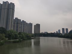-金源汤包(育新东路店)