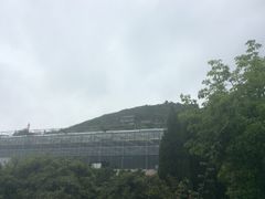 -石老人观光园