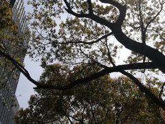 -证大喜玛拉雅中心