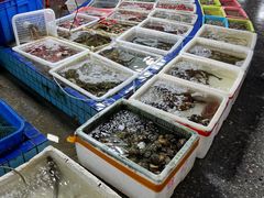 水产区-霞涌市场海鲜摆卖区