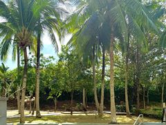 -三亚海棠湾万丽度假酒店