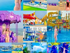 -秦皇岛乐岛海洋王国