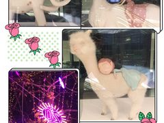 -恭敬李老北京炸酱面·京味菜(西花市店)