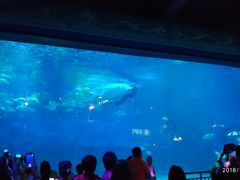 -烟台海昌鲸鲨海洋公园