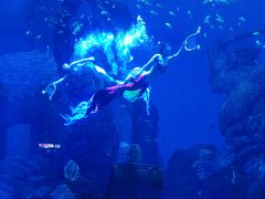 -波塞冬旅游度假区