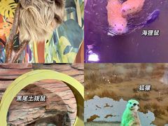 -正佳雨林生态植物园