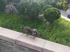 -贮水山儿童公园
