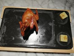 -大鸽饭(体育西路店)