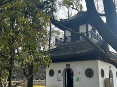 -汇龙潭