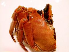 醉蟹-福1039(愚园路店)